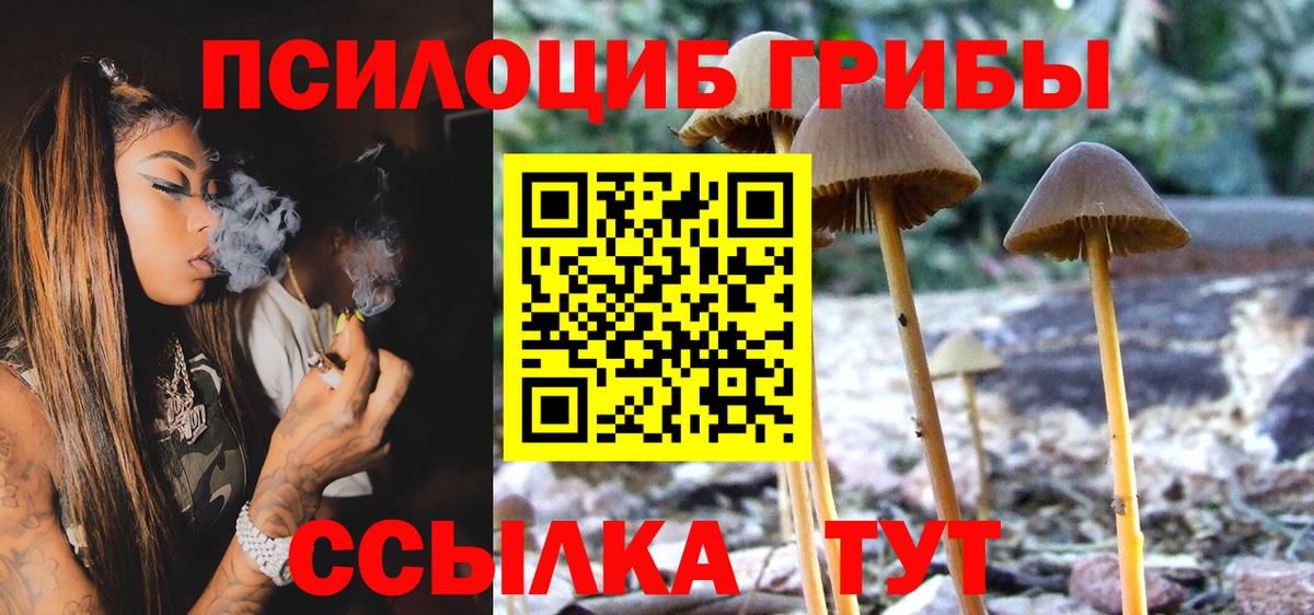 Псилоцибиновые грибы мицелий  Галлюциногенные грибы Cubensis  Вход с VPN  Домодедово 
